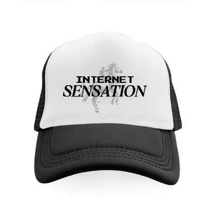 INTERNET SENSATION TRUCKER